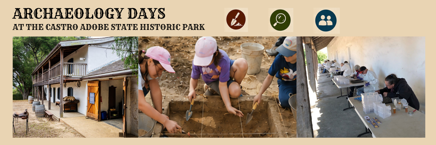 Archaeology Days